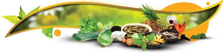 Growing Investment in Ayurvedic Medicine