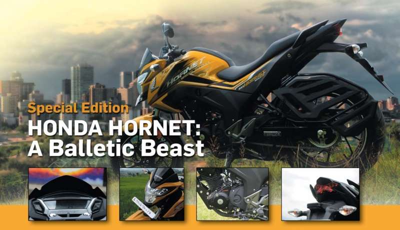 Special Edition Honda Hornet :  A Balletic Beast