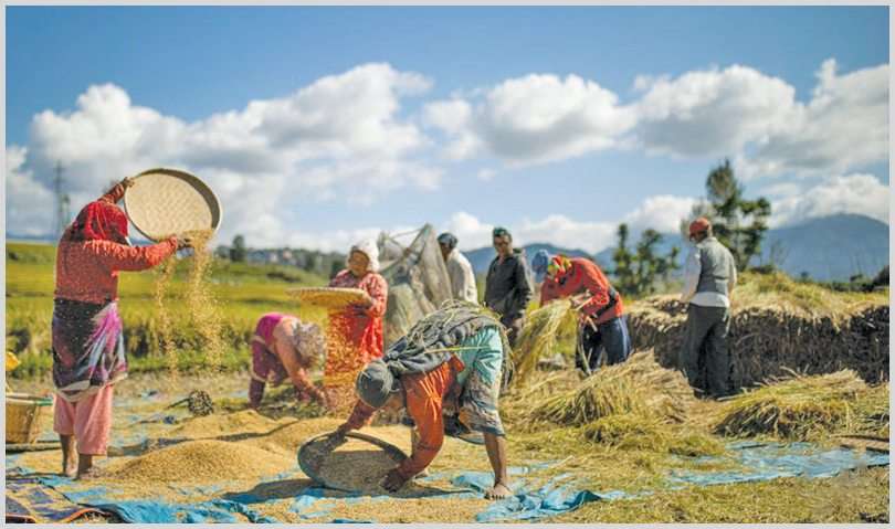 Sustainable Agriculture Practices