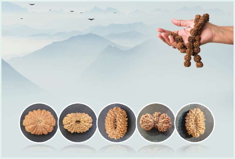 NEPA RUDRAKSHA : Promoting the Natural Gems of Nepal