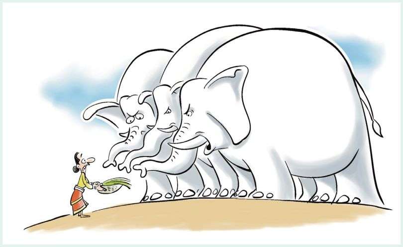 Fear of White Elephants