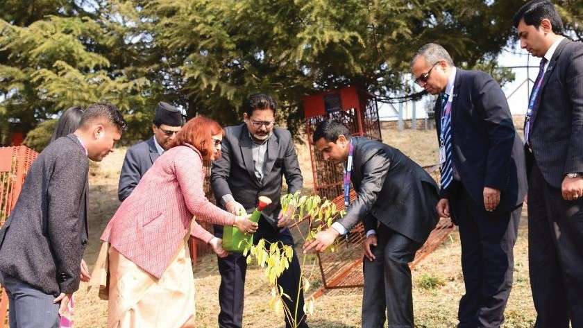 Nepal SBI Bank Plants Trees in Pashupatinath Temple