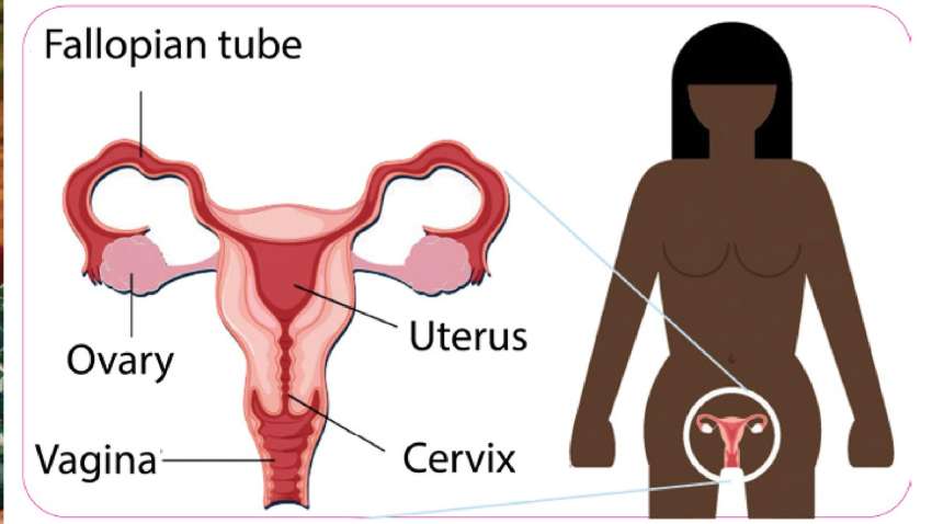 Marie Stopes International Nepal: Helping Women Prevent Rising Threat of Cervical Cancer