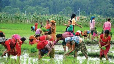 CSA : Milestone for Smallholders and Returning Migrants