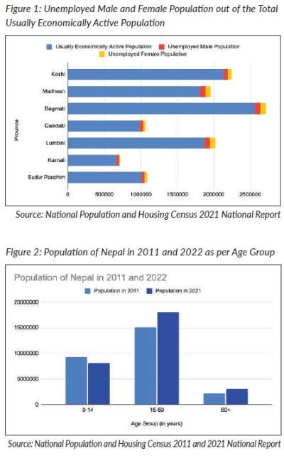 Insights from the 2021 Census