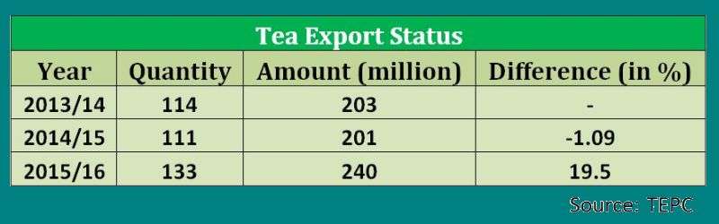 Tea Export Rises by 20 Percent