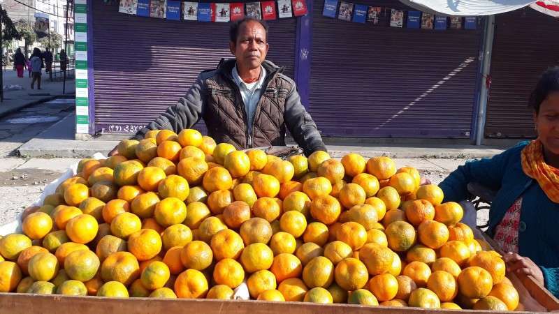 Nepal Unlikely to be Self-Reliant on Fruits Within Next 10 Years: Report