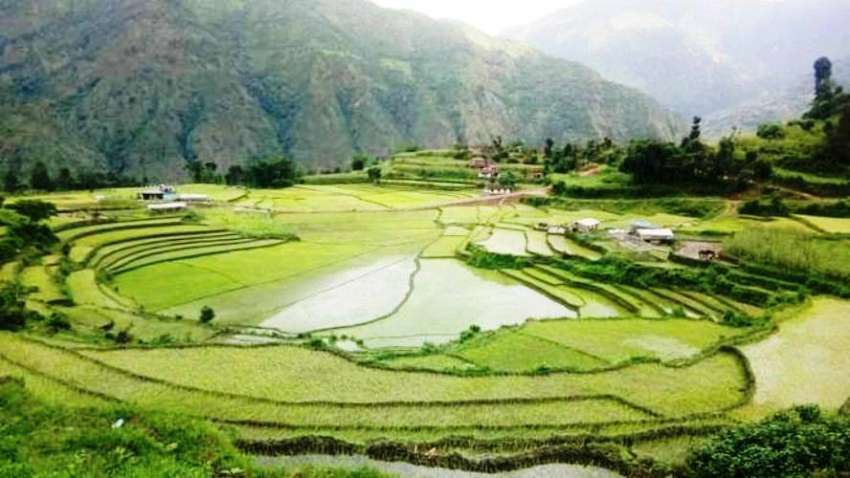 Govt allocates 33 billion for  agriculture