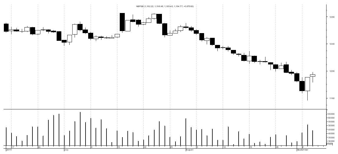 Market watch 4th September(Wednesday)