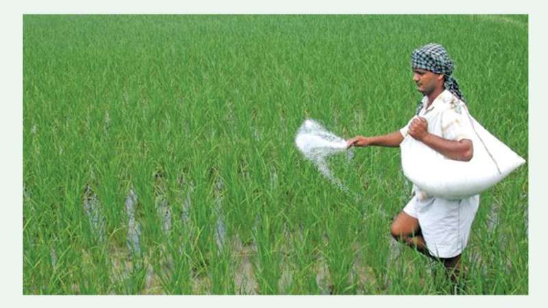 Bangladesh Ready to Supply 50,000 Tons of Urea to Nepal: PM Oli
