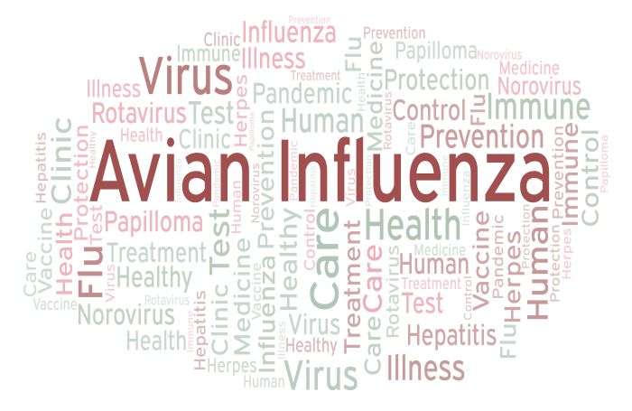 Bird Flu Detected in Kathmandu    