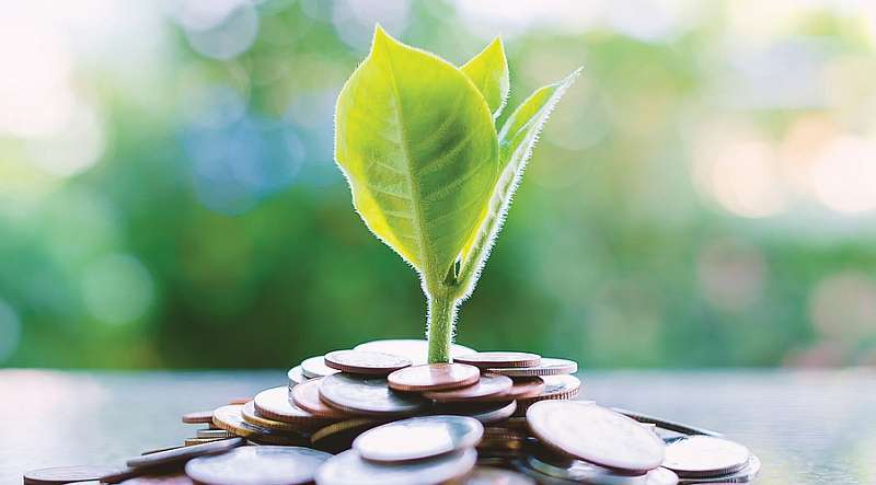 Startup Programme Included in Budget since 2015 Fails in Implementation 