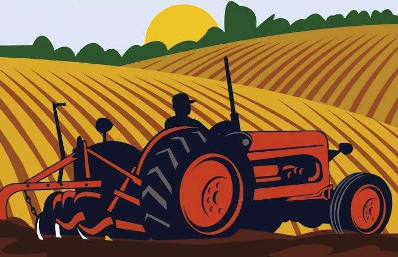  Expert Stress on Promotion of Self-Sufficient Agriculture 