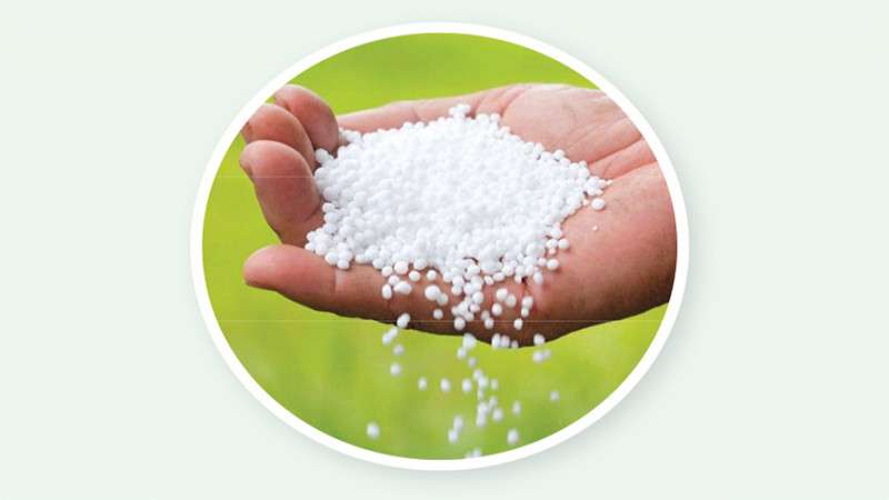 Supply Chain of Chemical Fertilizer Likely to Further Worsen