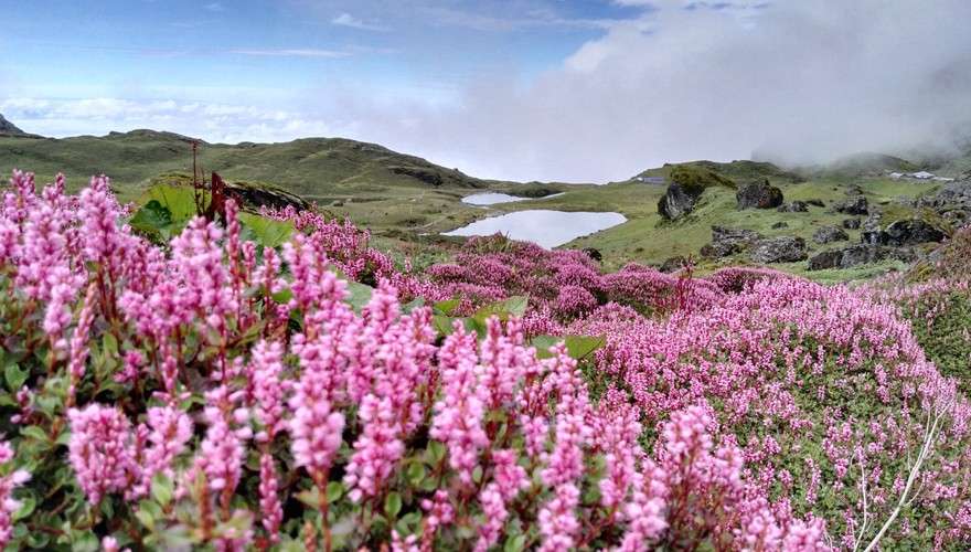 Panchpokhari being Developed as Tourism Hub