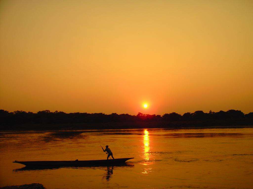 Sauraha's Tourism Business Returning Back on Track