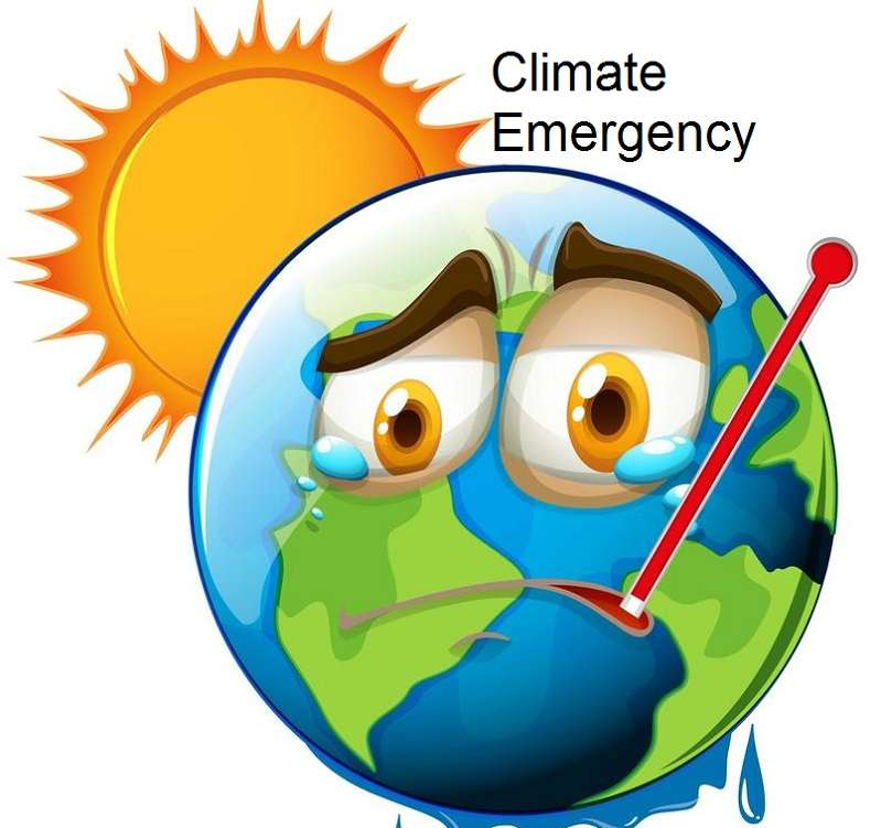 Ministry of Forests and Environment Preparing to Declare 'Climate Emergency'   