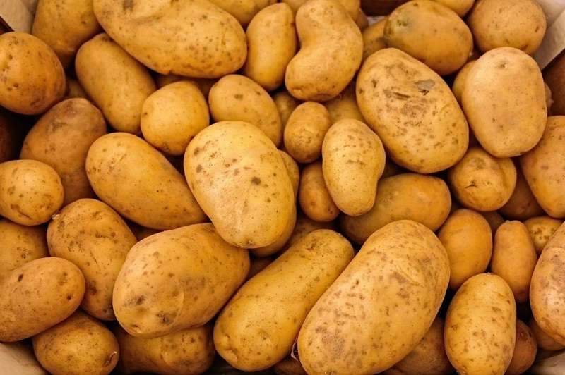 Prices of Potatoes Rise by 257 Percent in 6 Months