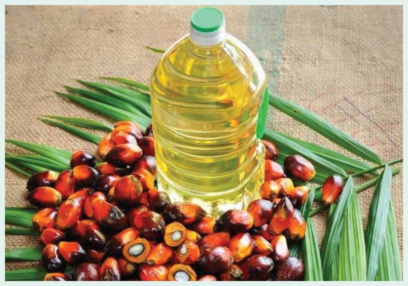 Export of Cooking Oil Slumps