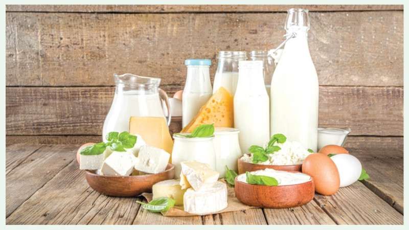 Nepal Spends Rs 2 Billion Annually on Import of Dairy Products                    