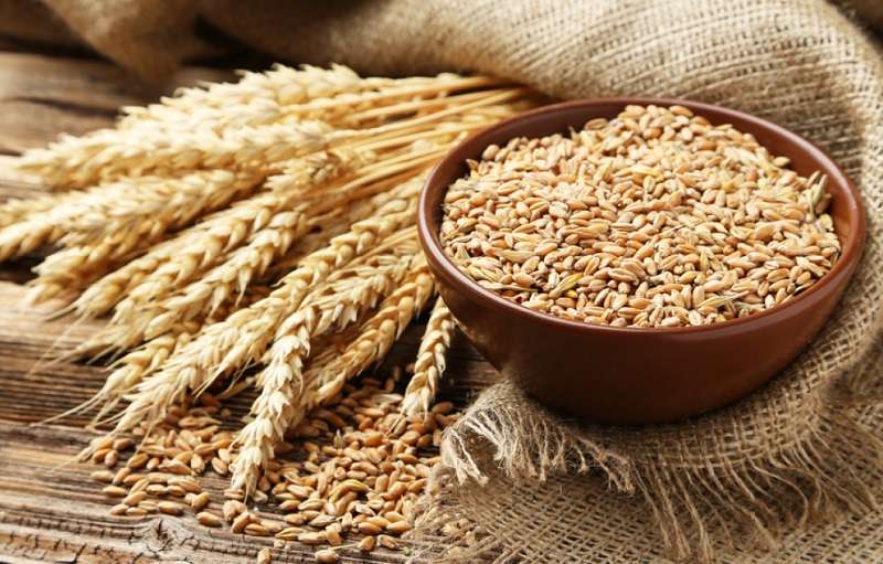 Import of 50,000 Tons of Wheat from India Delayed