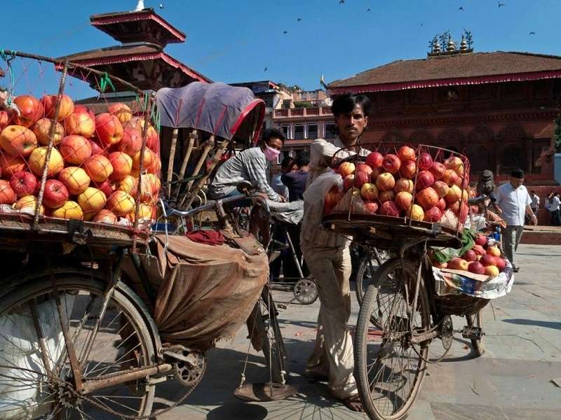 KMC Bans Selling Goods on Bicycles and Carts