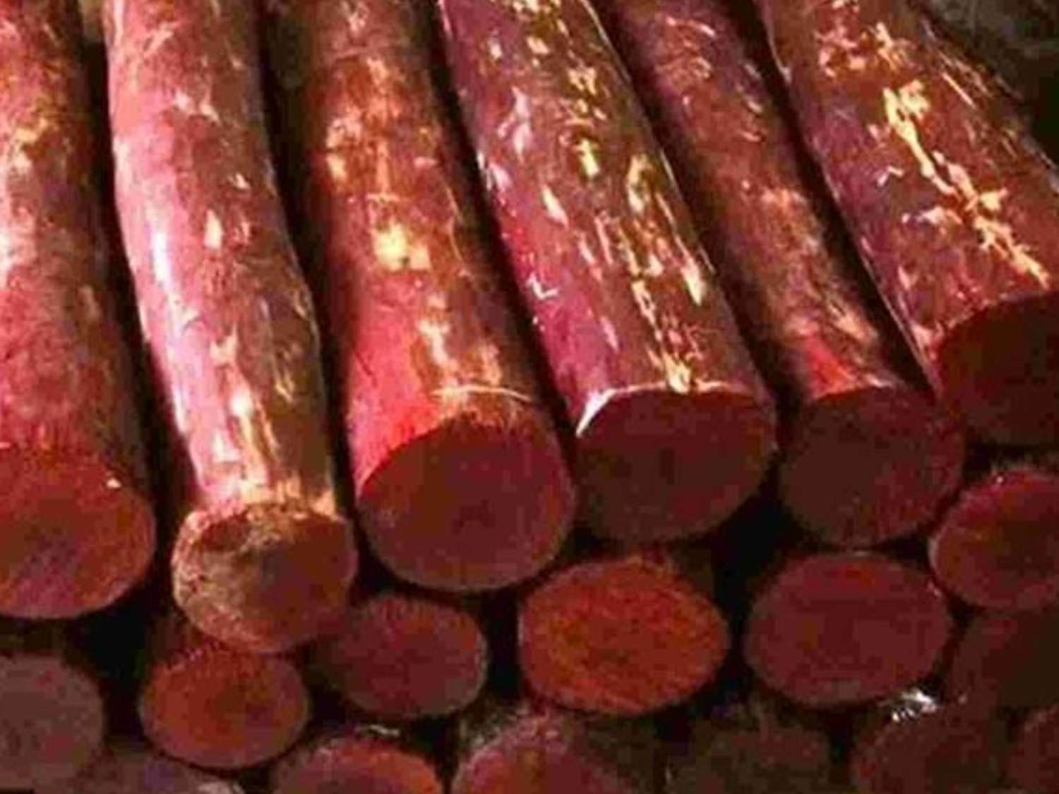  40,000 kg Red Sandalwood Confiscated By Police About To Decay 