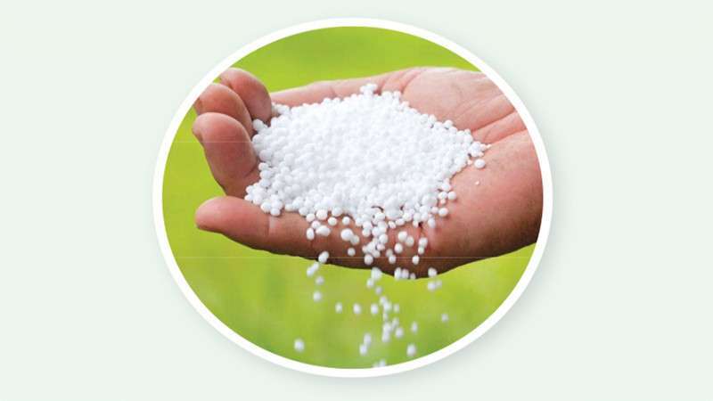 Government Slashes Subsidy on Chemical Fertilizer   