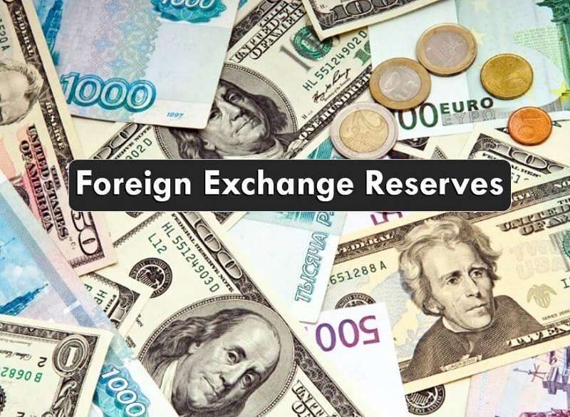 Forex Reserves Improve in First Seven Months of Current Fiscal Year   