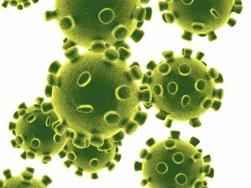 Surge in Coronavirus Infection as 142 New Cases Recorded on Friday Alone   