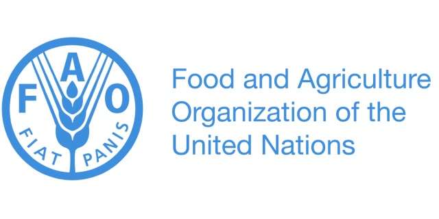  FAO Releases 'Country Programming Framework' for Transformation of Agriculture Sector