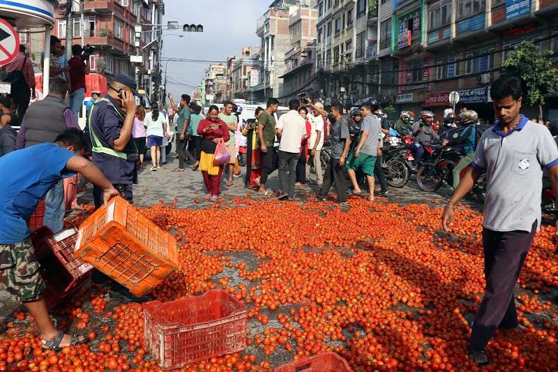 Farmers Struggle to get Rs 6 per kg for Tomatoes while Consumers are Paying as Much as Rs 40