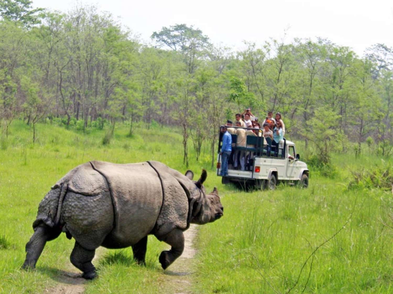 CNP Bans Tourism Activities Including Commercial Jungle Driving Inside Park