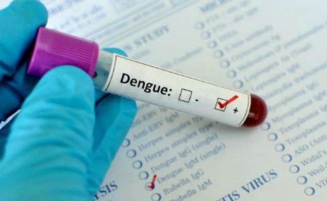 Dengue Infection on the Rise in Nepal   