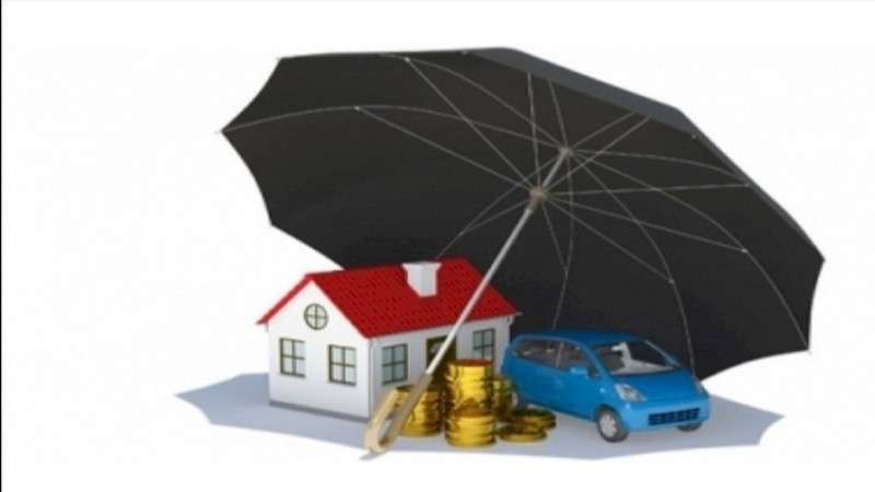 Business of Non-Life Insurance Companies Slumps