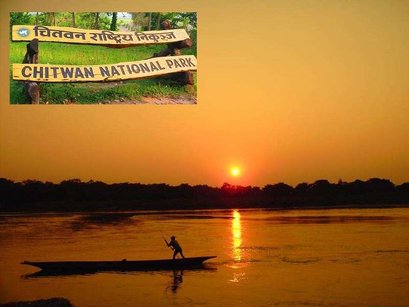 Chitwan National Park Earns Almost Rs 20 Million during Dashain 