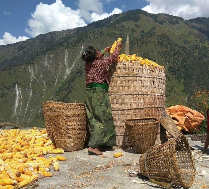 Over 55% of Families in Bagmati Province cannot Sustain from Agri-Income for Whole Year   