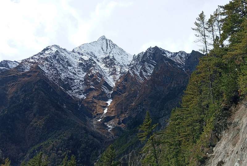 Conservationists Express Concern over Mountains Turning Bare   