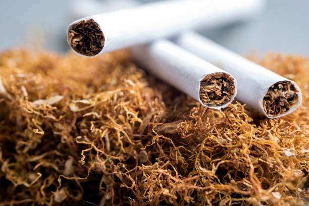 KMC Bans Tobacco Products from Today   