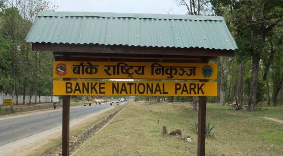 Banke National Park Steps up Tourism Promotion Activities 