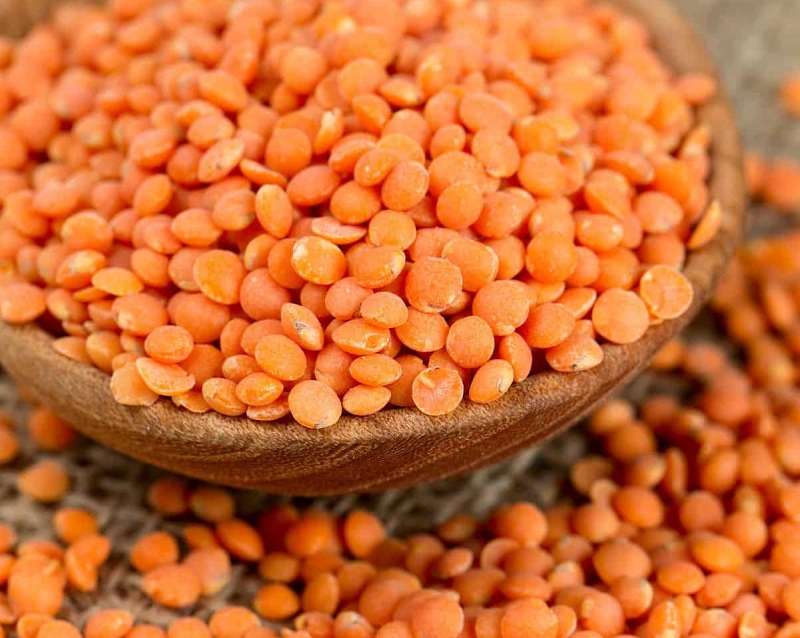 Cultivation Area of Red Lentil Decreasing in Nepal