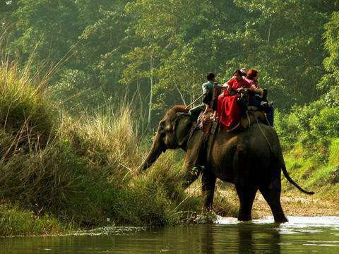 UN Recognizes Terai Arc Landscape as World Restoration Flagship   