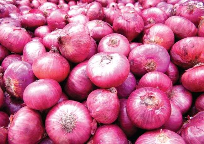 India Lifts Ban on Export of Onion