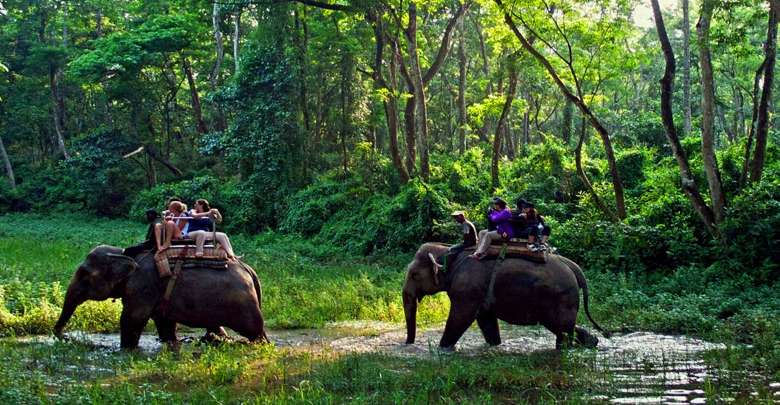 Arrival of Tourists up in Parsa National Park   