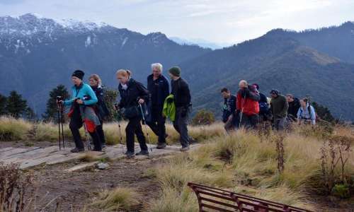 Over 31,000 Foreign Tourists Visited Ghodepani Last Year   