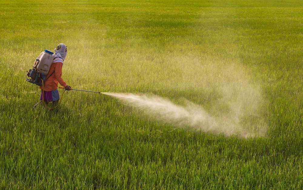 Why is the Use of Pesticides on Crops Increasing?