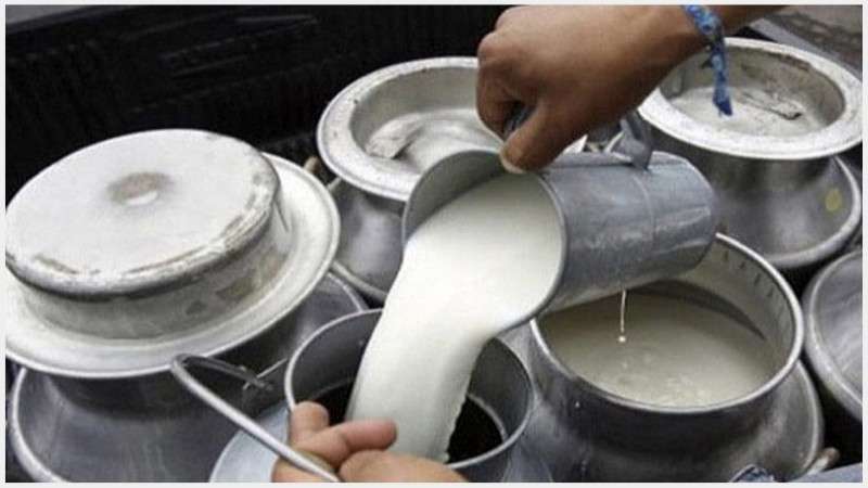 Dairy Farmers Demand Overdue Payment with DDC   