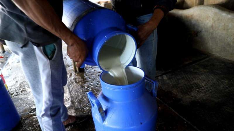 Dairy Farmers Doubt Industries will Clear Arrears