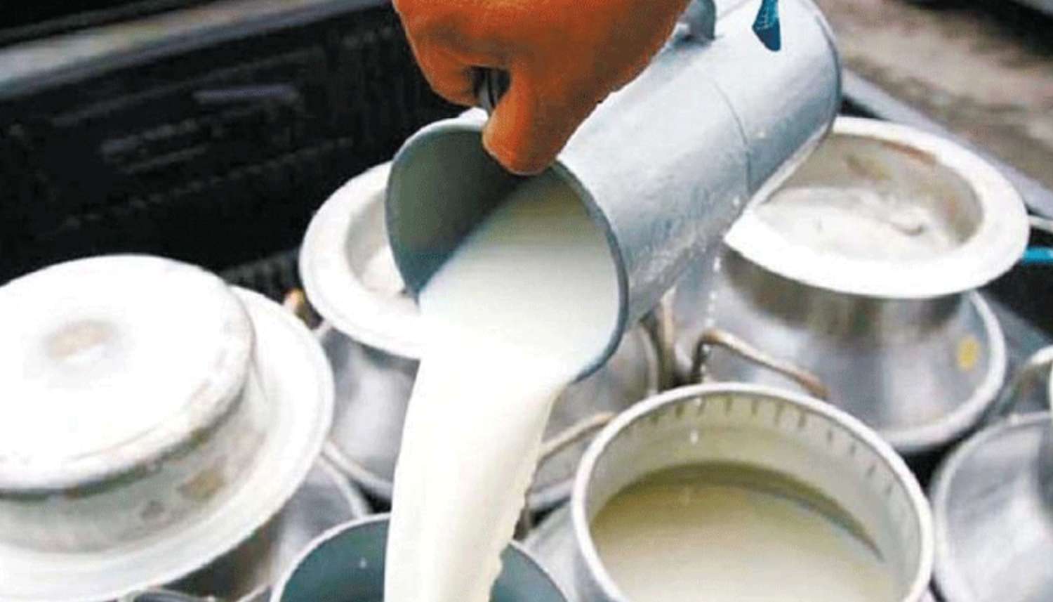 Kailali Achieves Self-Sufficiency in Milk Production