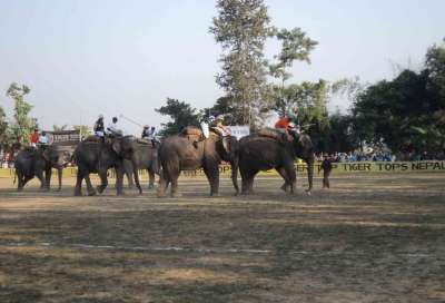 International Elephant Polo begins